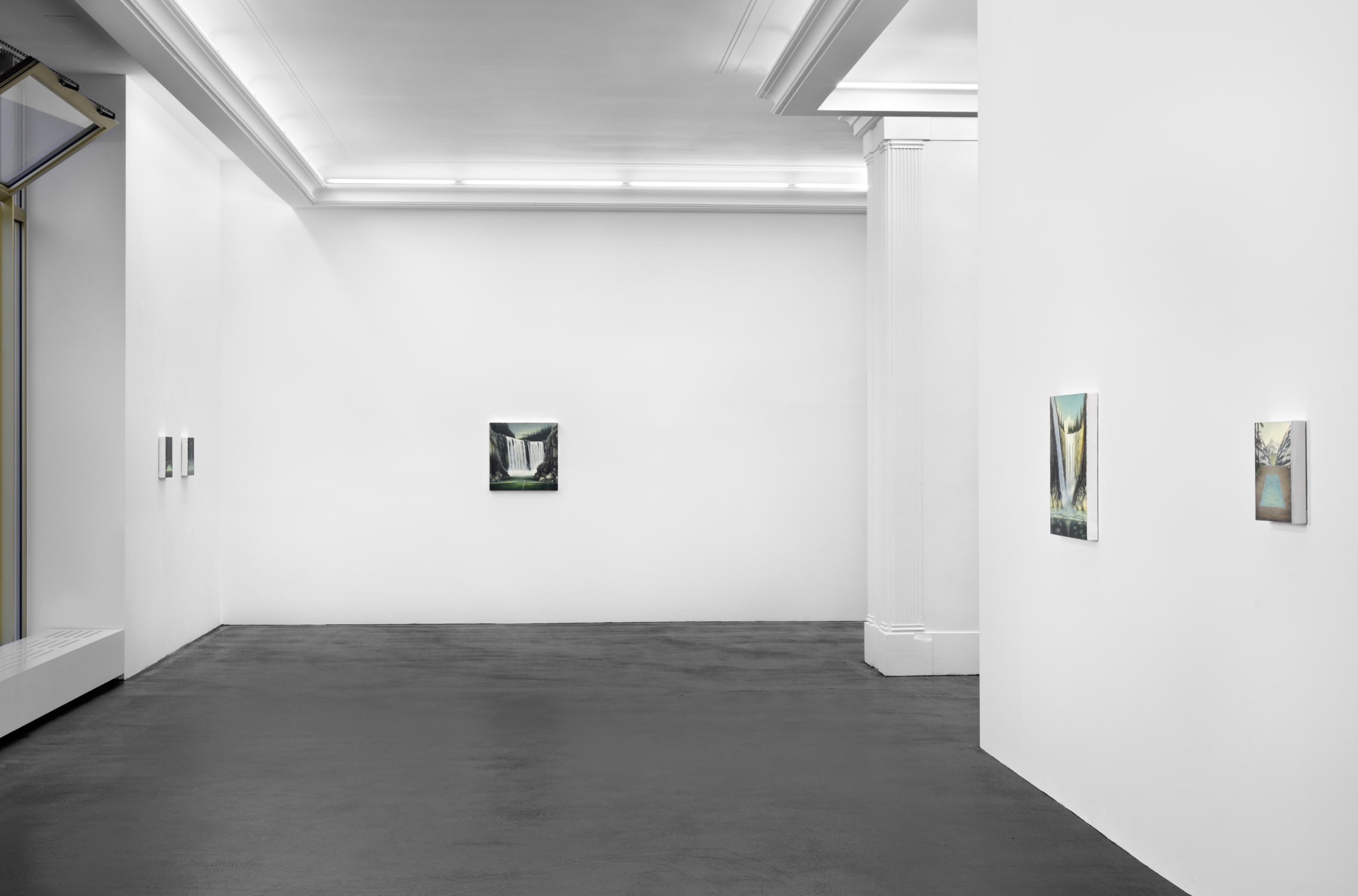Dan Attoe Landscapes with Water Installation View March 1 – April 19, 2014 Peres Projects, Berlin