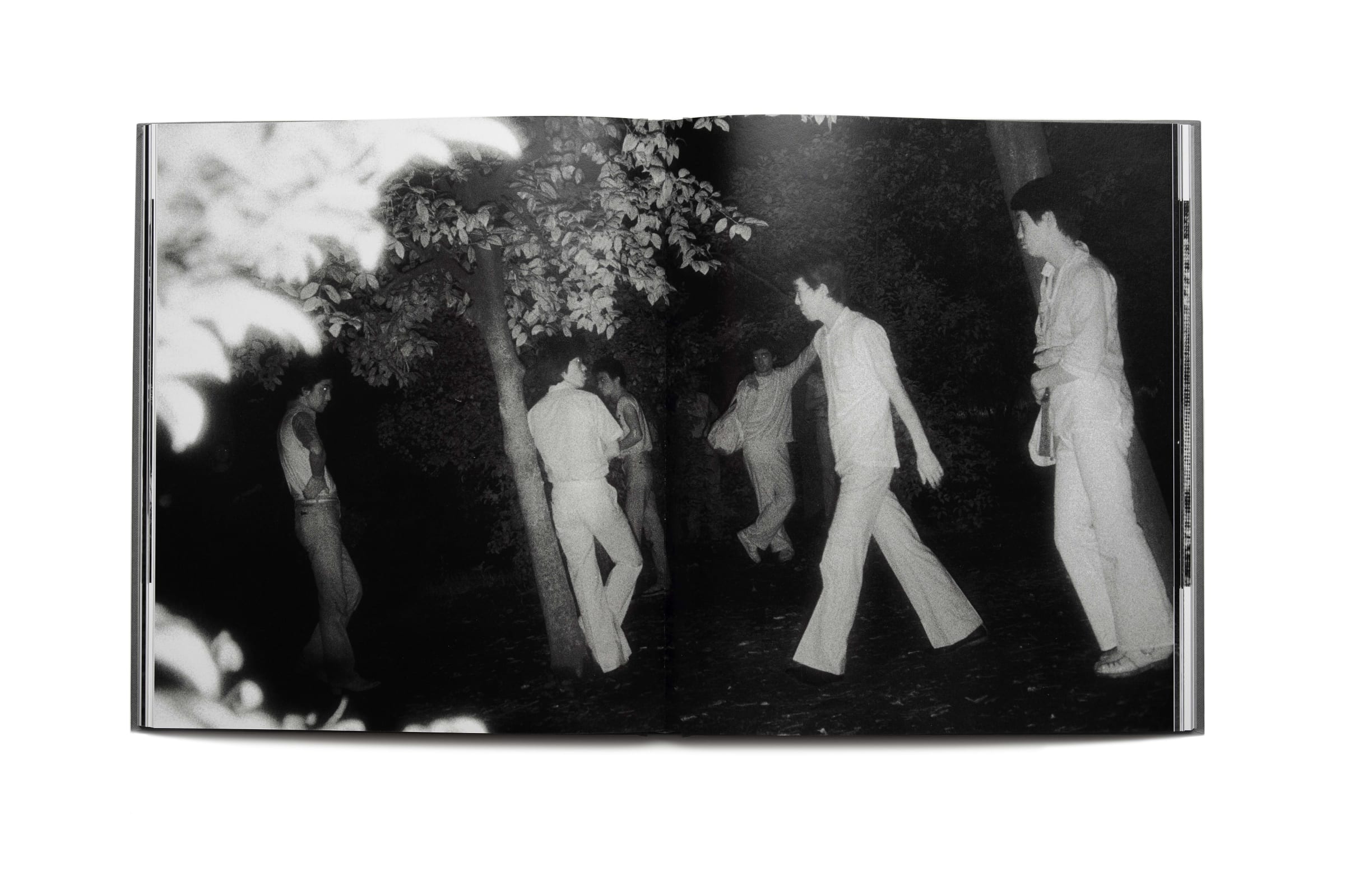 Publication: The Park | Yossi Milo