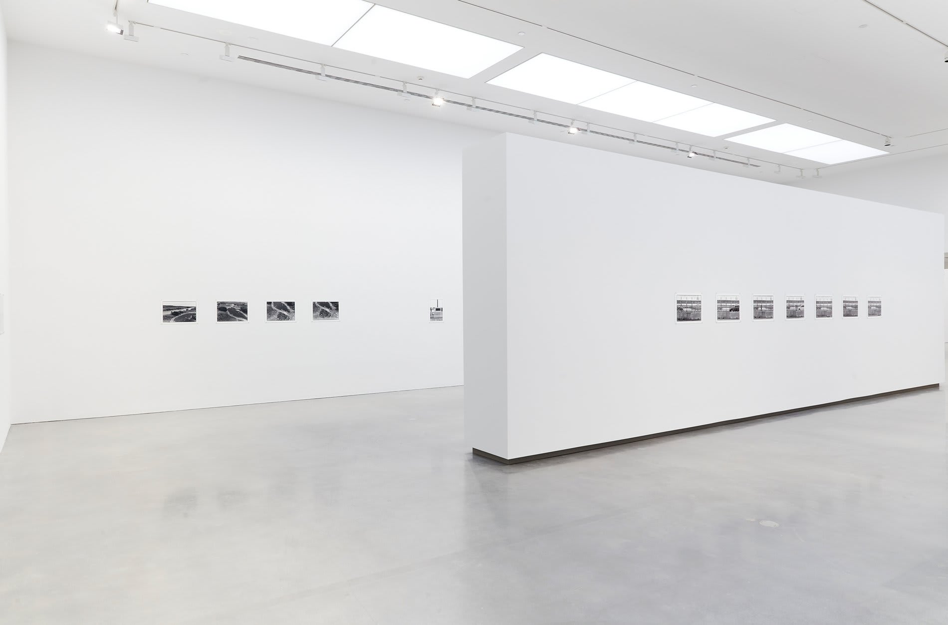 Zoe Leonard | Capitain Petzel