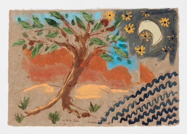 伊莎贝拉-杜克罗 | Isabella Ducrot