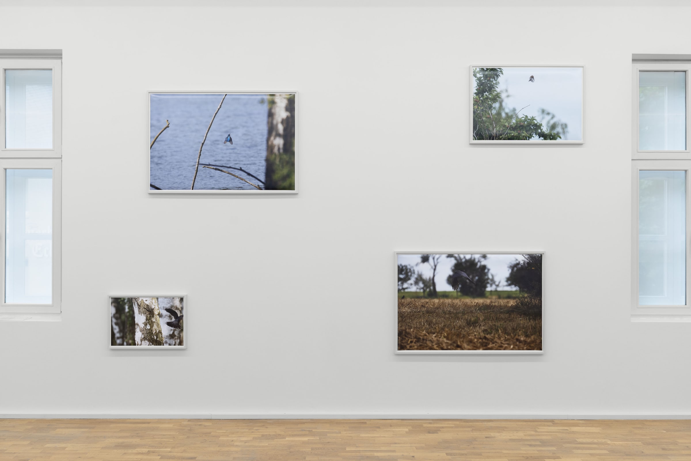 Maria Lassnig, Peter Piller