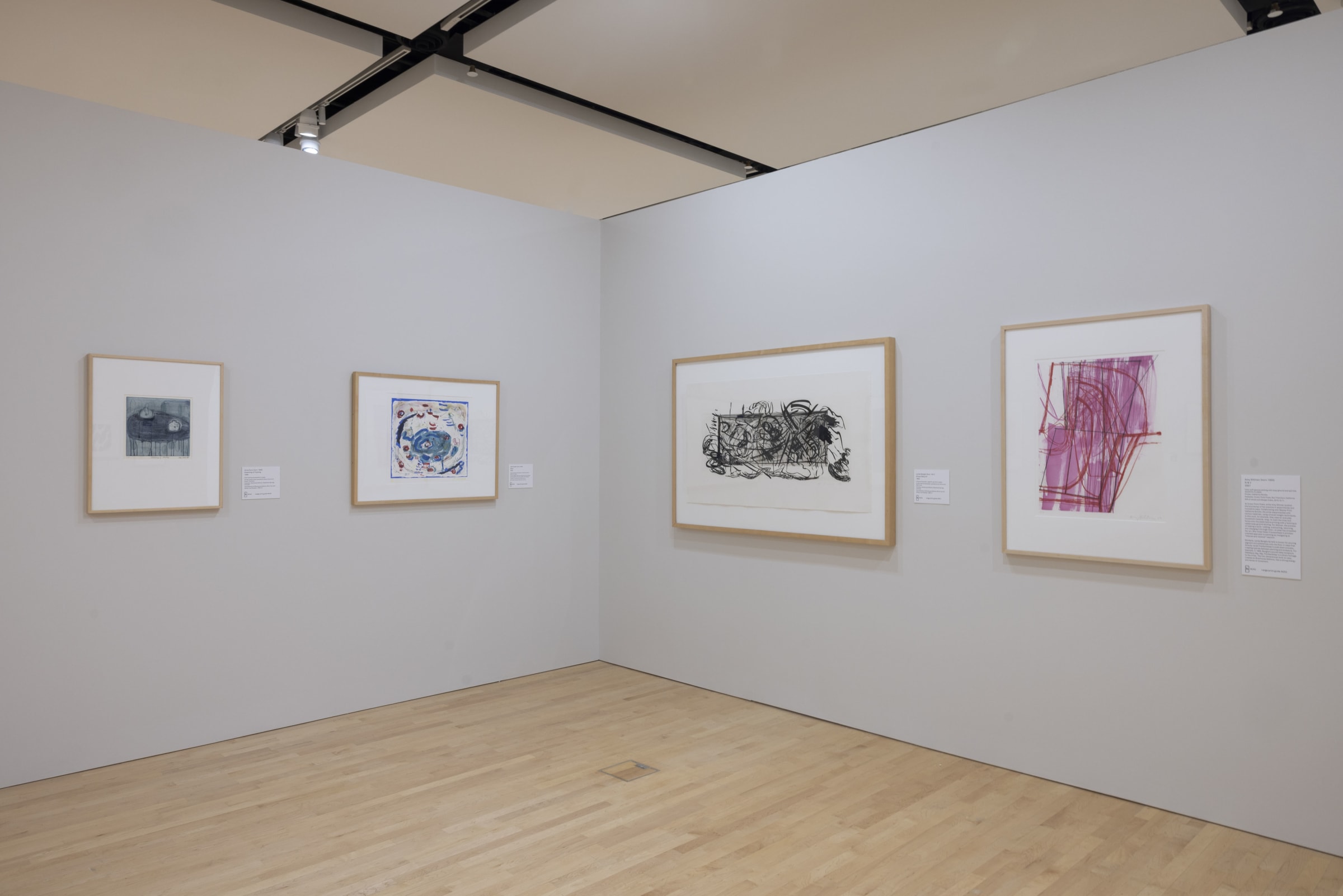 Amy Sillman