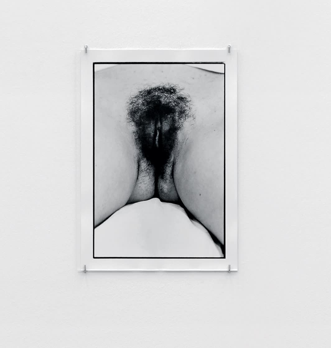 Zoe Leonard, Untitled, Palais de Tokyo (for Elisabeth) (detail), 2023