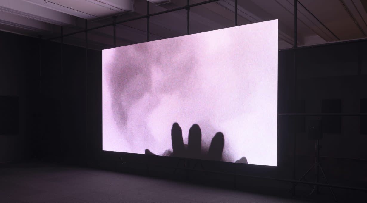 Sanya Kantarovsky, A Solid House, 2022, installation view. Photo: Carter Seddon. Courtesy the artist and Aspen Art Museum