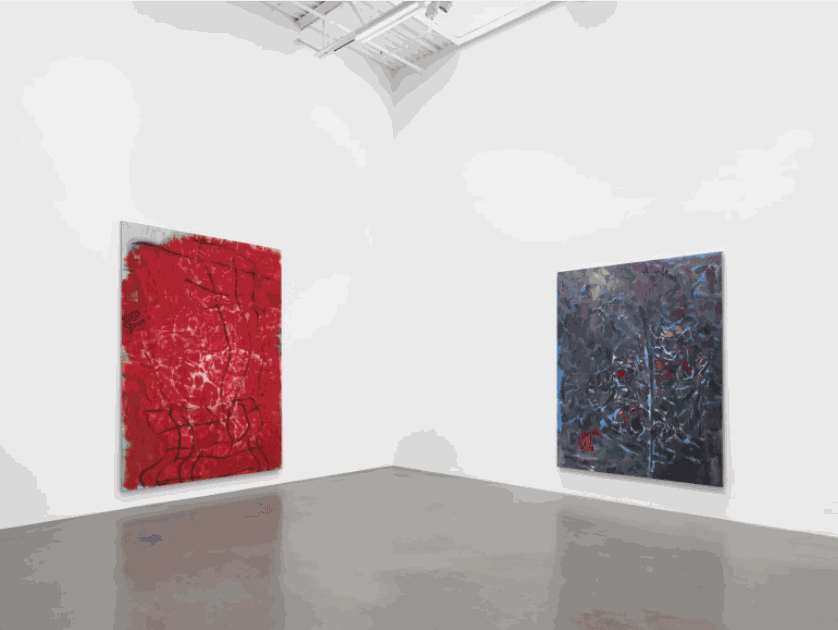 Installation view, Xie Nanxing, Adverb High Command, Petzel, 2022