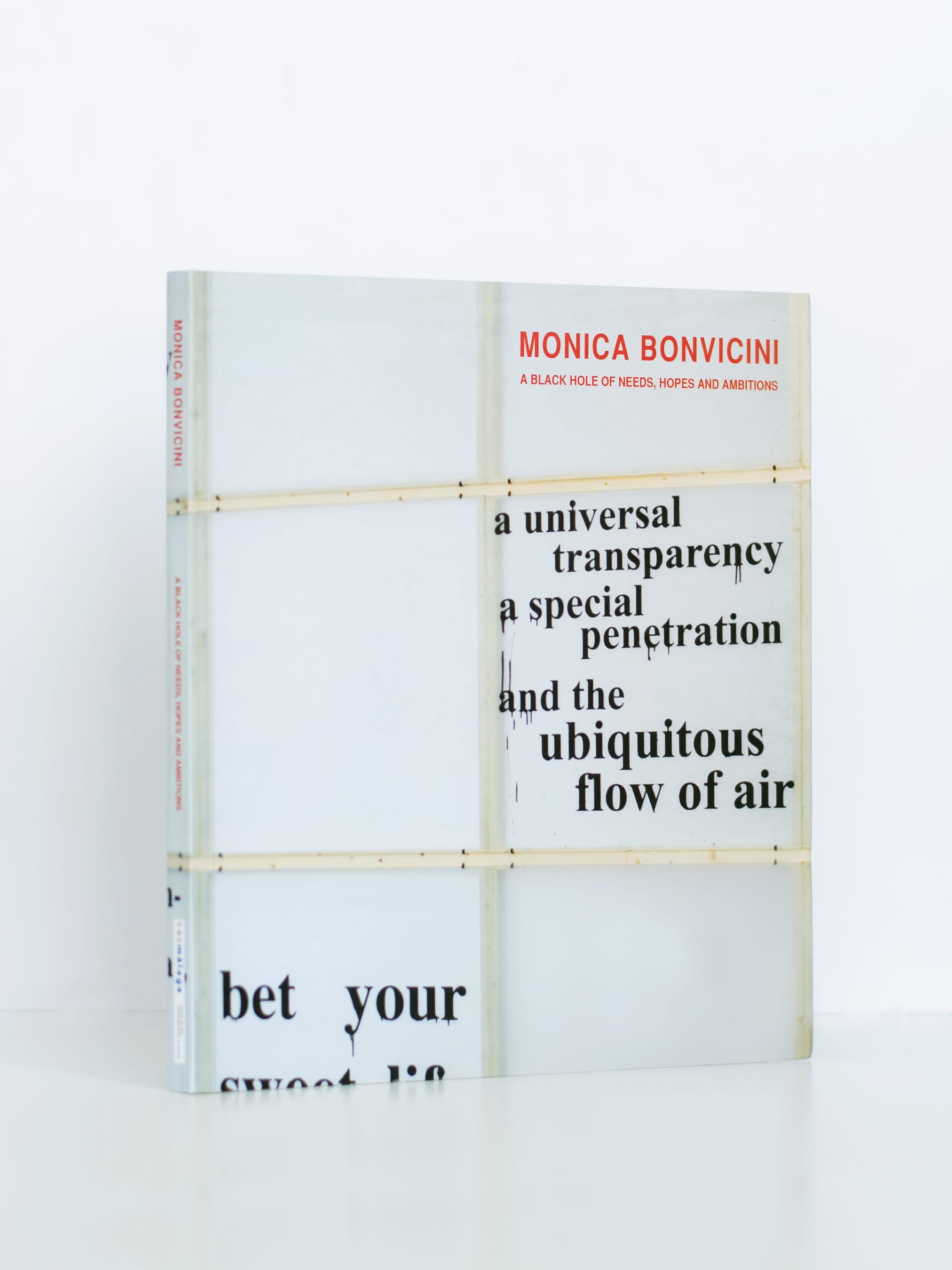 Monica Bonvicini