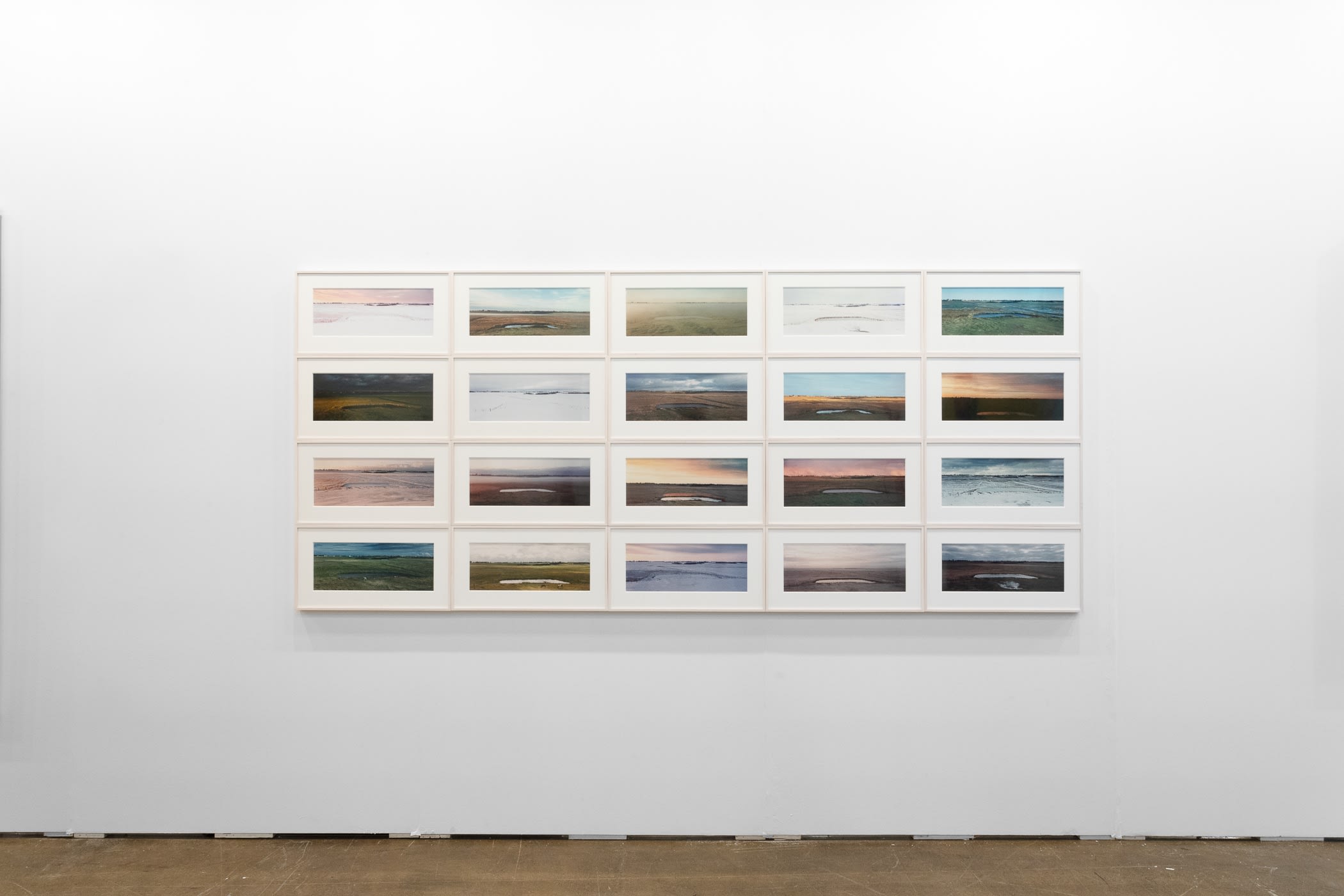 Thaddeus Holownia, Jolicure Pond, 1996-2004, 20 chromogenic contact prints, 9 x 3 2/4 ft. installed