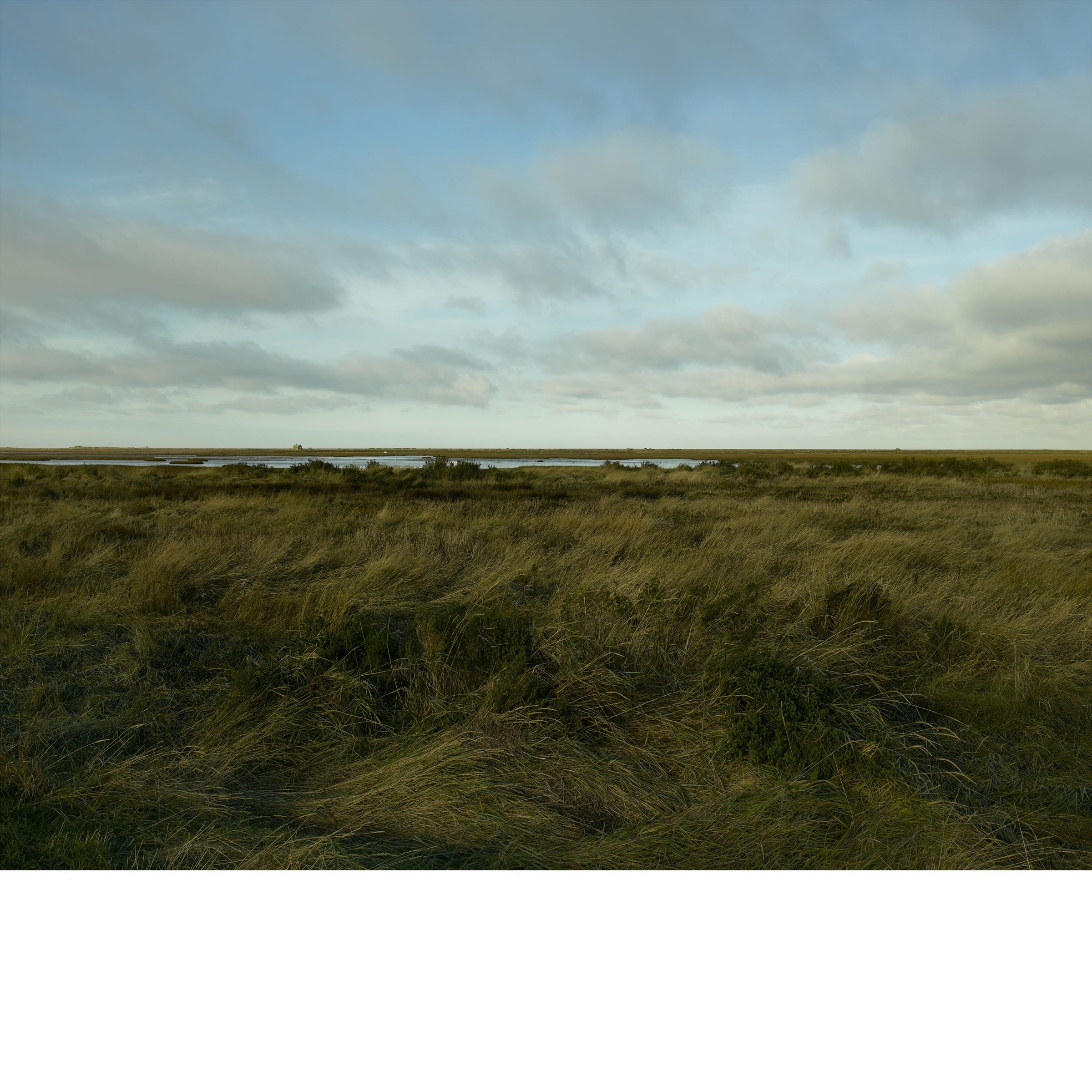 John Riddy & Ben Luke | Frith Street Gallery