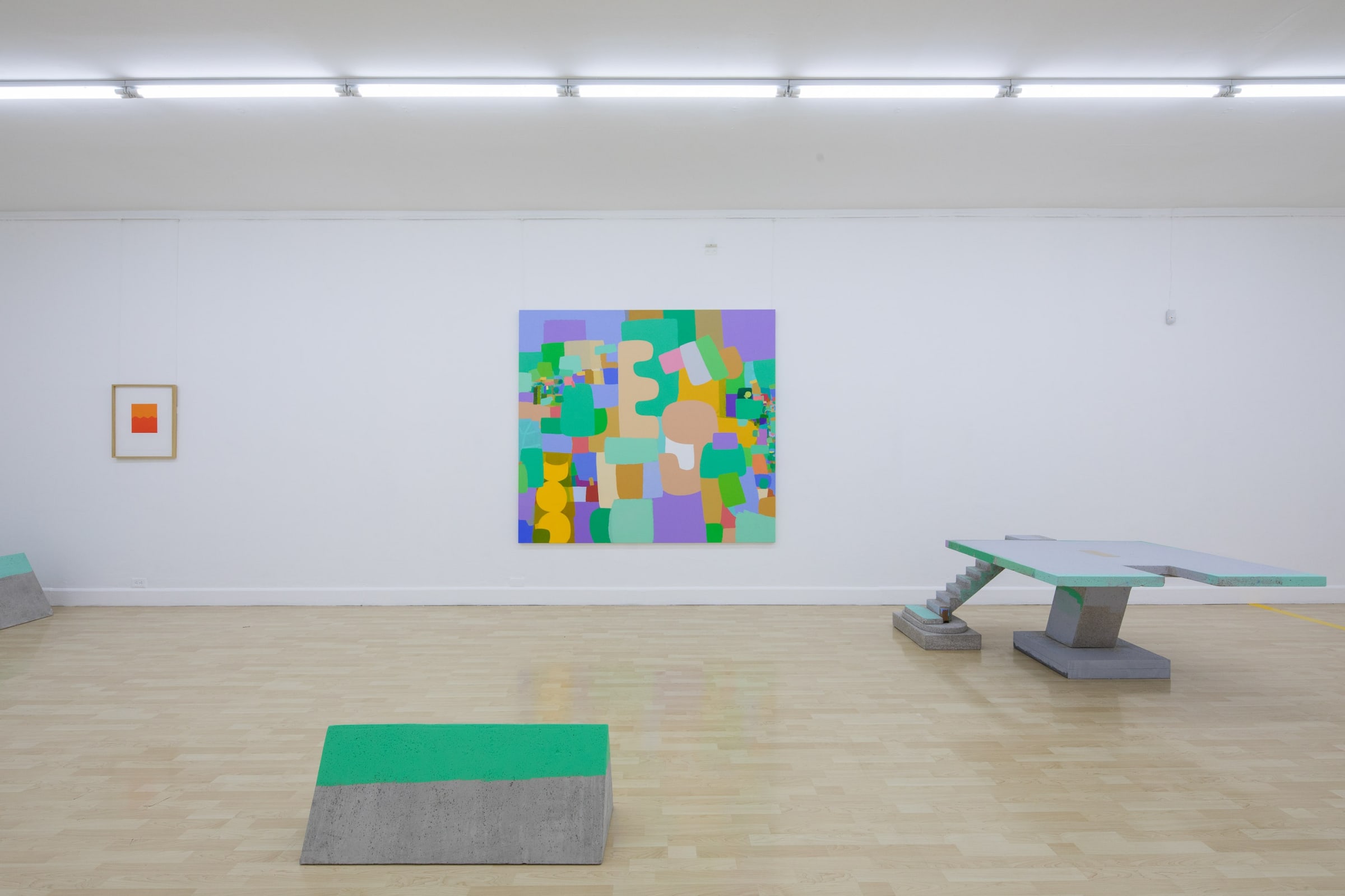 Barreras Blandas Luisa Strina