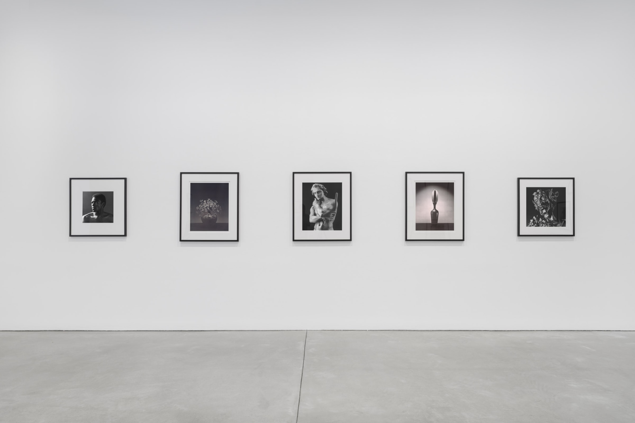 【美品】OBJECT by ROBERT MAPPLETHORPE Behold the Lowly Vessel | Galerie Thomas Schulte