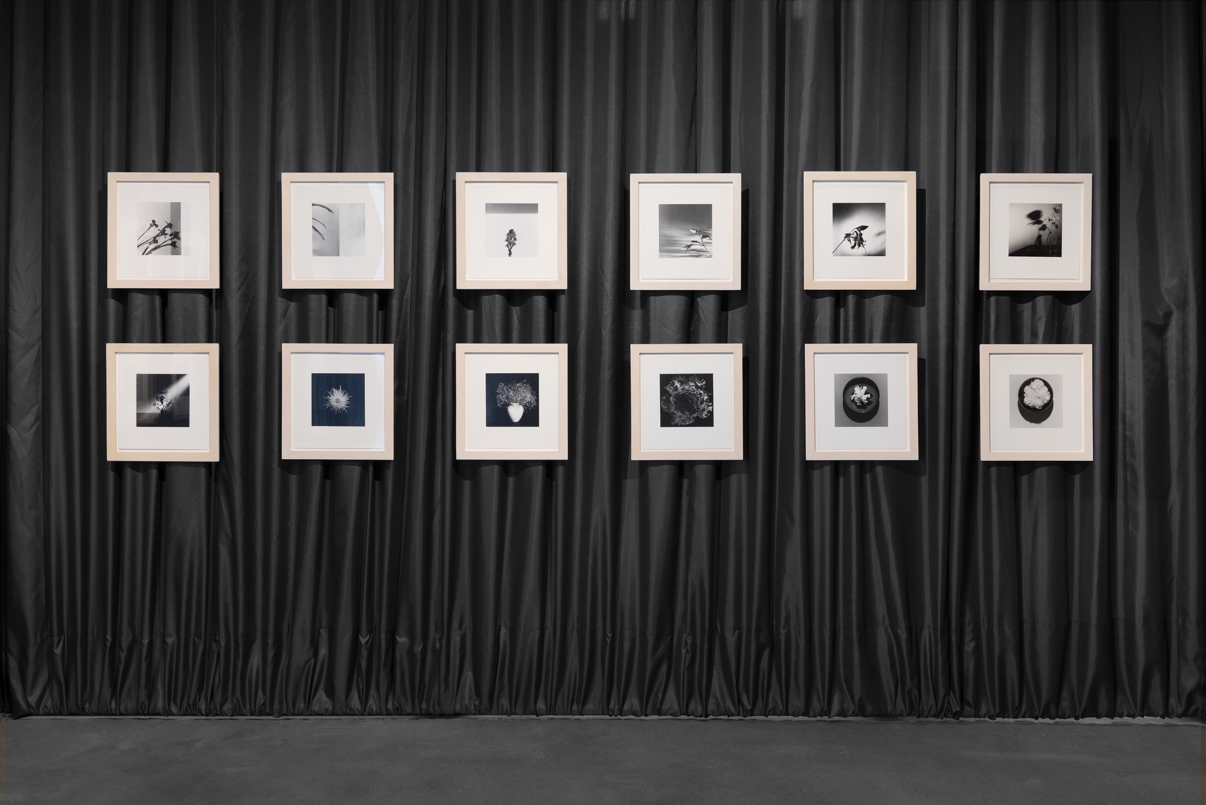 XYZ PORTFOLIOS | Galerie Thomas Schulte