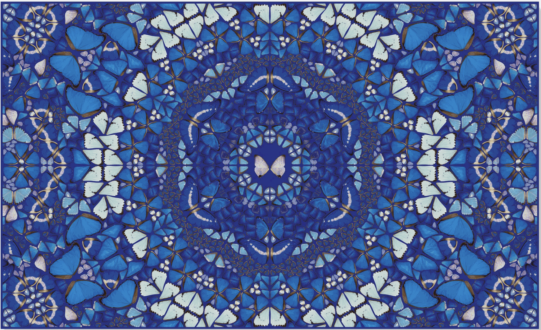 タイムセール 探し方 Damien Hirst Kaleidoscopes | New Works | Guy Hepner アート・デザイン・音楽