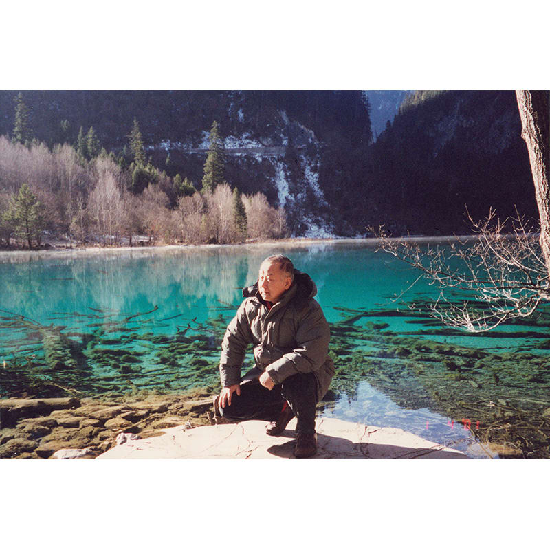 1995 Participates in Twentieth Century Chinese Painting: Tradition and Innovation at Hong Kong Museum of Art. Show subsequently travels to...