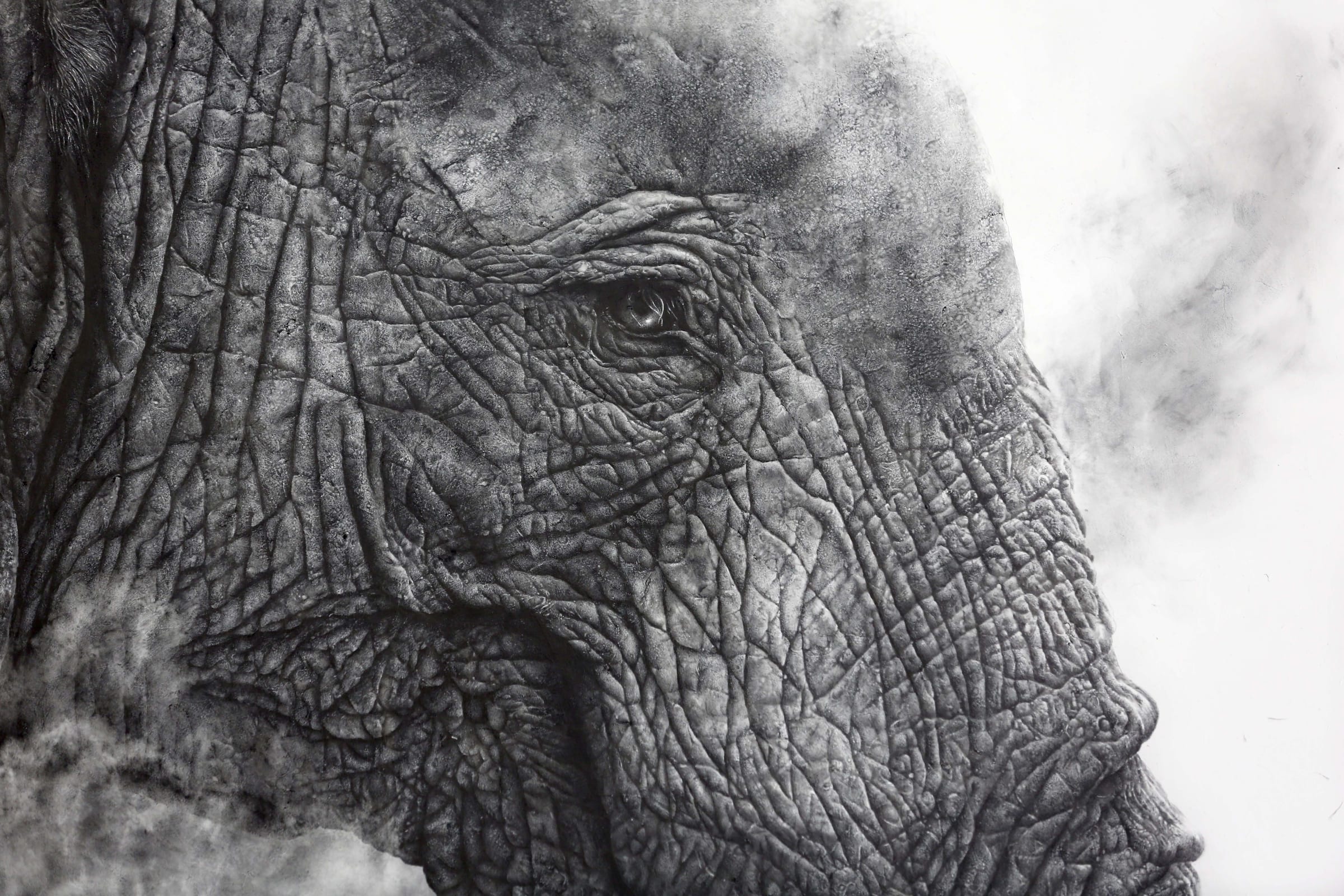 Africa Wildlife Art | Rountree Tryon