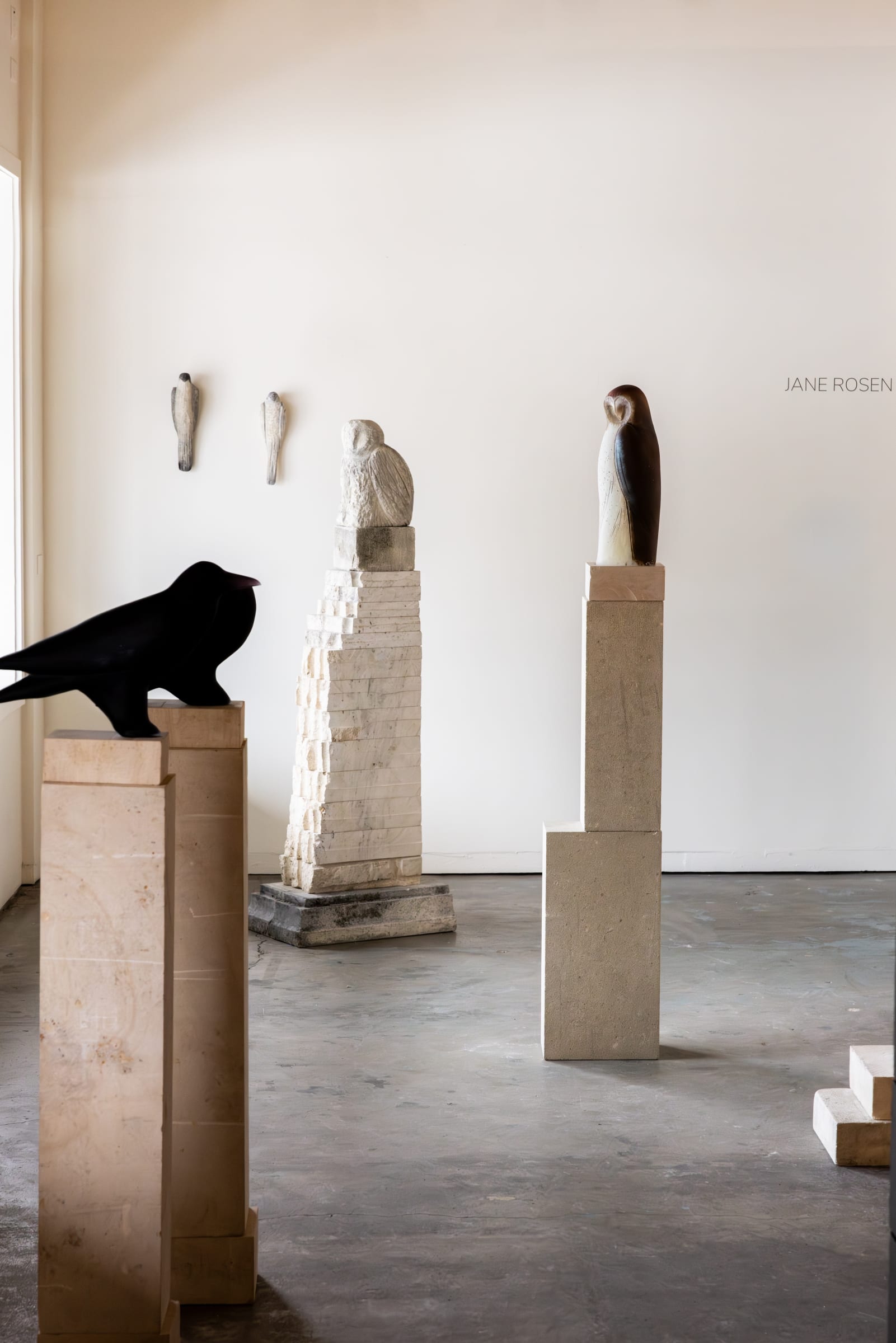 AVIARY | 17 Jan - 23 Mar 2025 | Maya Frodeman Gallery