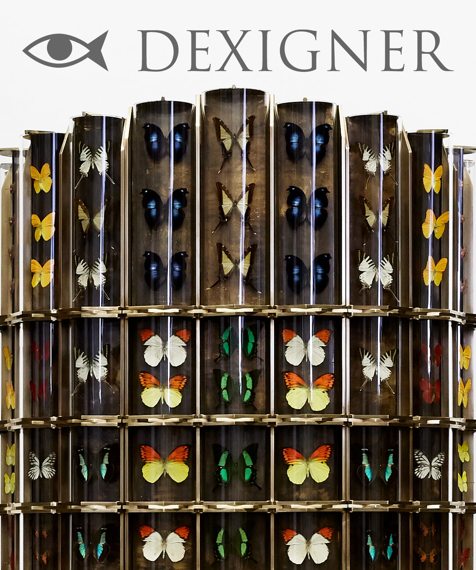 Erwan Boulloud First U.S Solo Show at Twenty First Gallery