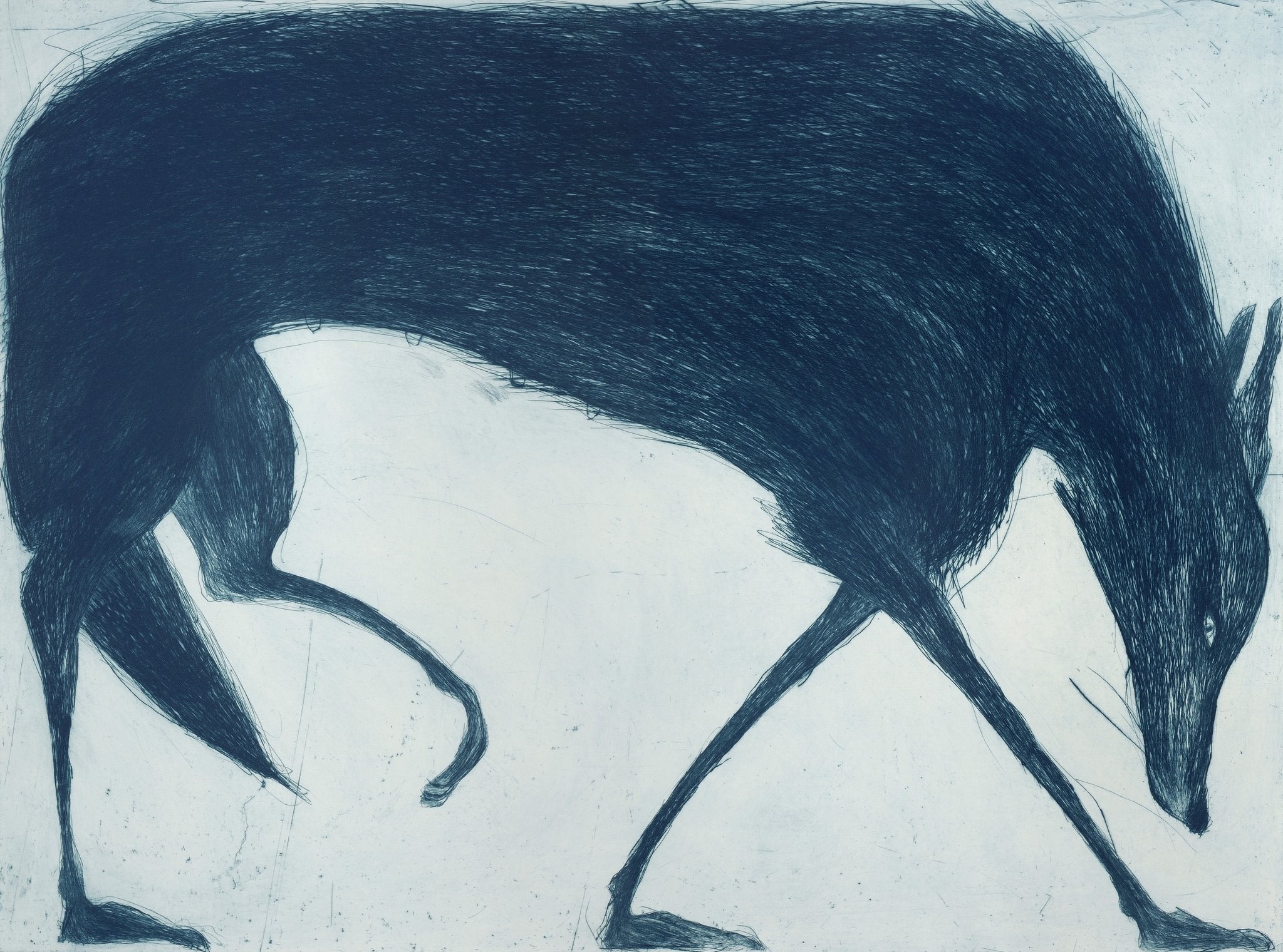 Kate Boxer Blue Wolf Mounted Cricket Fine Art