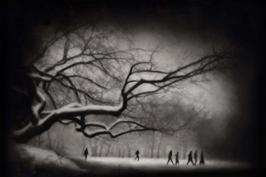 開店祝い Rocky Schenck, Promenade, 2003 | M+B Photo アート・デザイン・音楽
