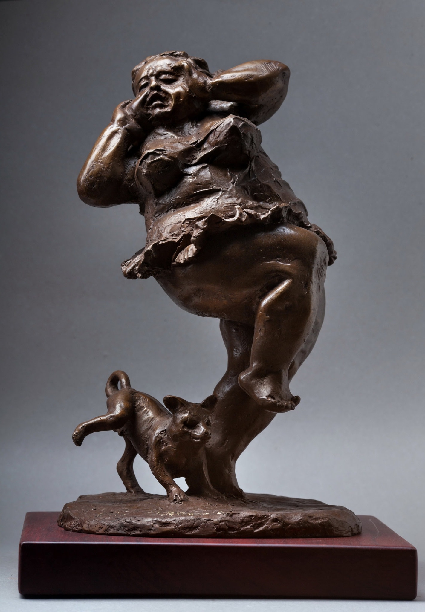 xu hongfei 许鸿飞