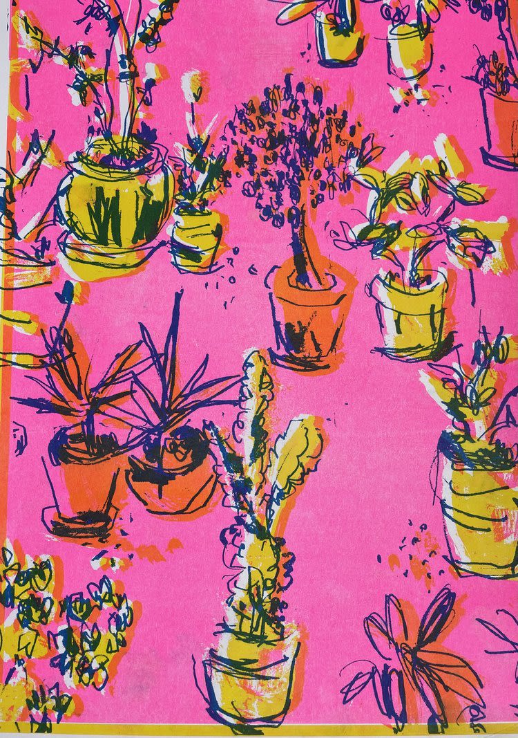 mark-parker-plants-on-the-spanish-terrace-small-but-mighty-the
