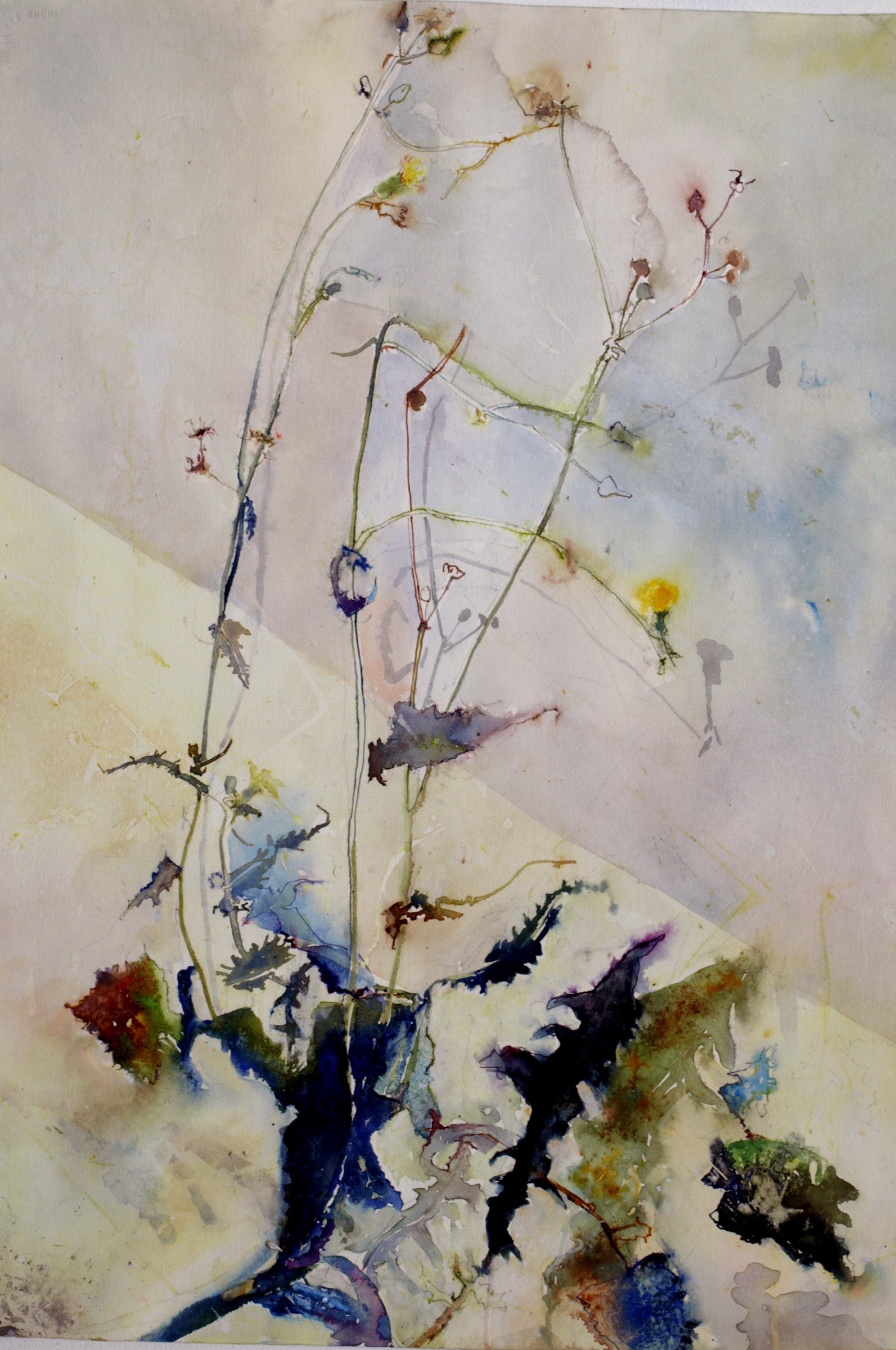 Sophie Knight Works Royal Watercolour Society