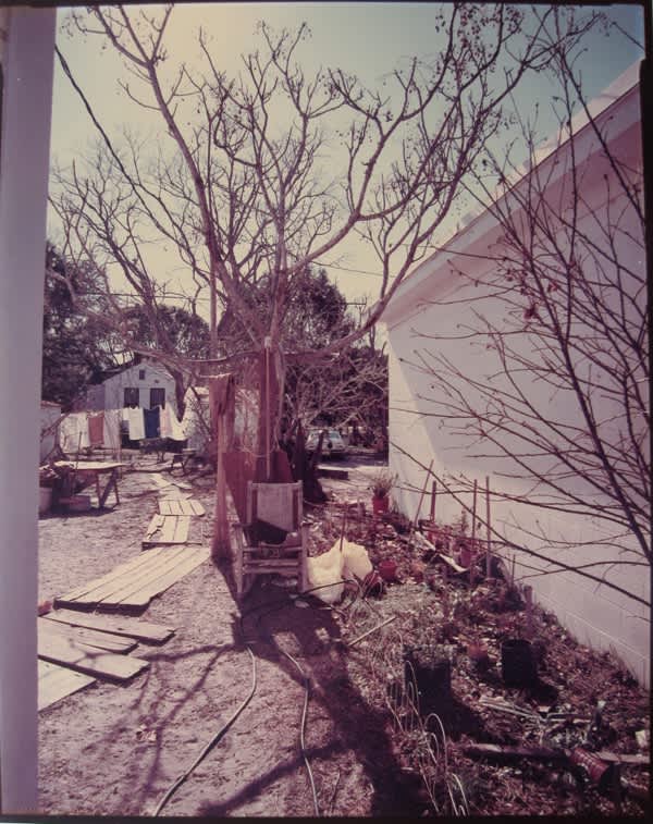 Backyard off US 98, Apalachacola, FL