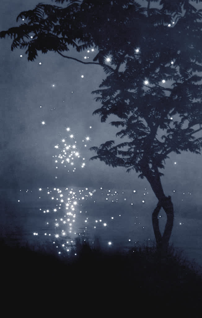 There was Nothing Like that Night, Remember it?
