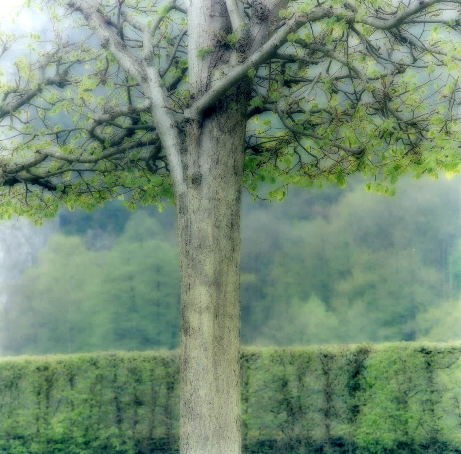 Freyr Gardens, Belgium (4-04-32c-12)