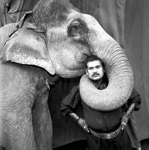Ram Prakash Singh with His Elephant Shyama, Great Golden Circus, Ahmedabad, India