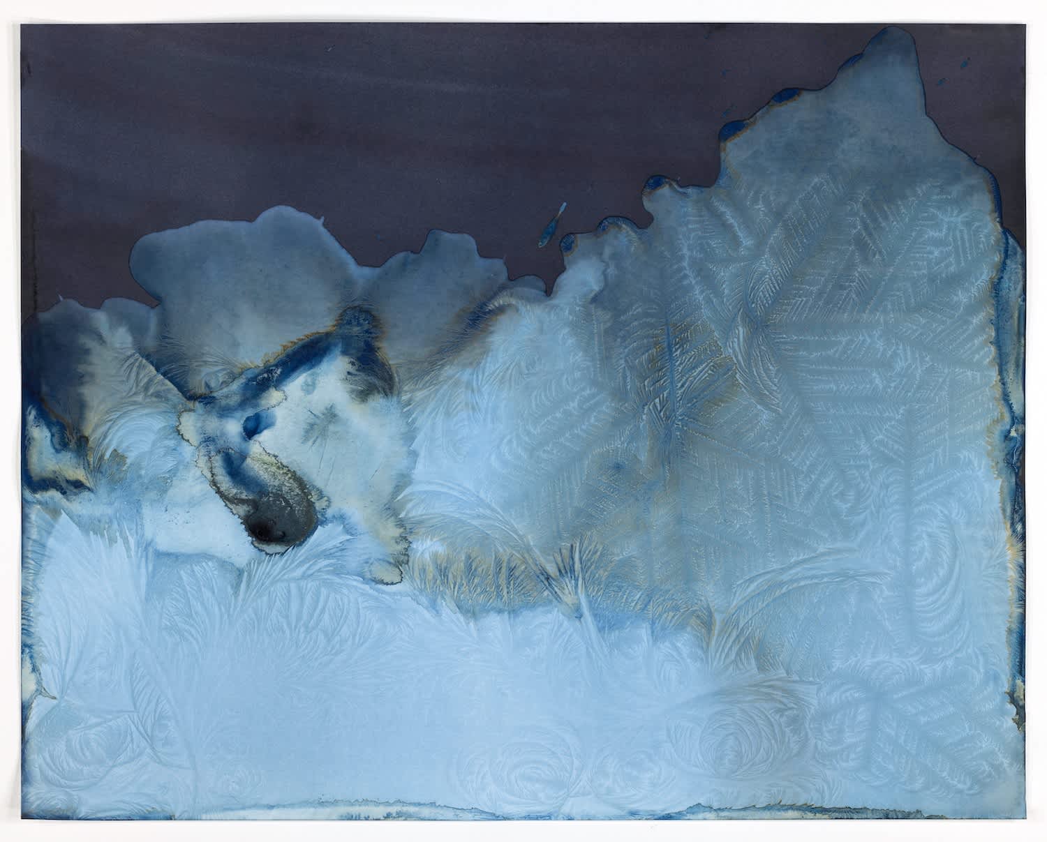 Untitled #729700FC (Tree in snow, Yosemite)