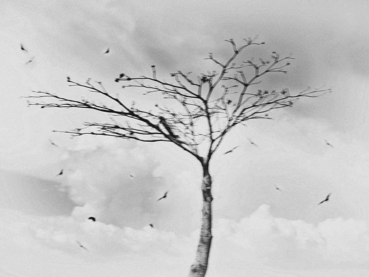 Untitled from the series Mukono