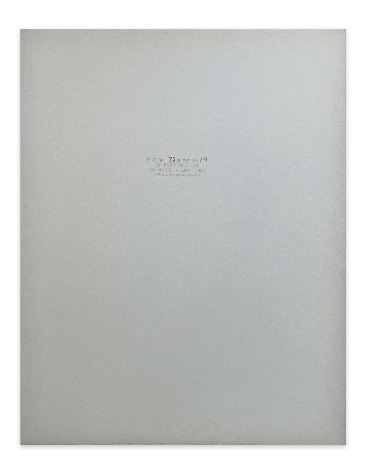 Roots, Foster Gardens, Honolulu, T. H., From Portfolio One: Twelve Photographic prints by Ansel Adams