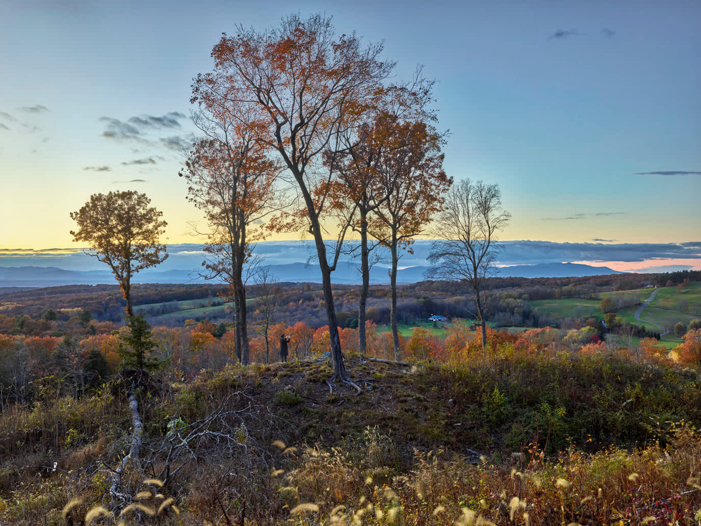 Betty Lou Hill Milan