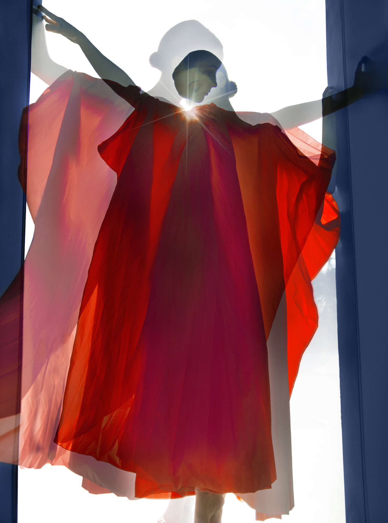 Double Exposure Sunlight, The Garden