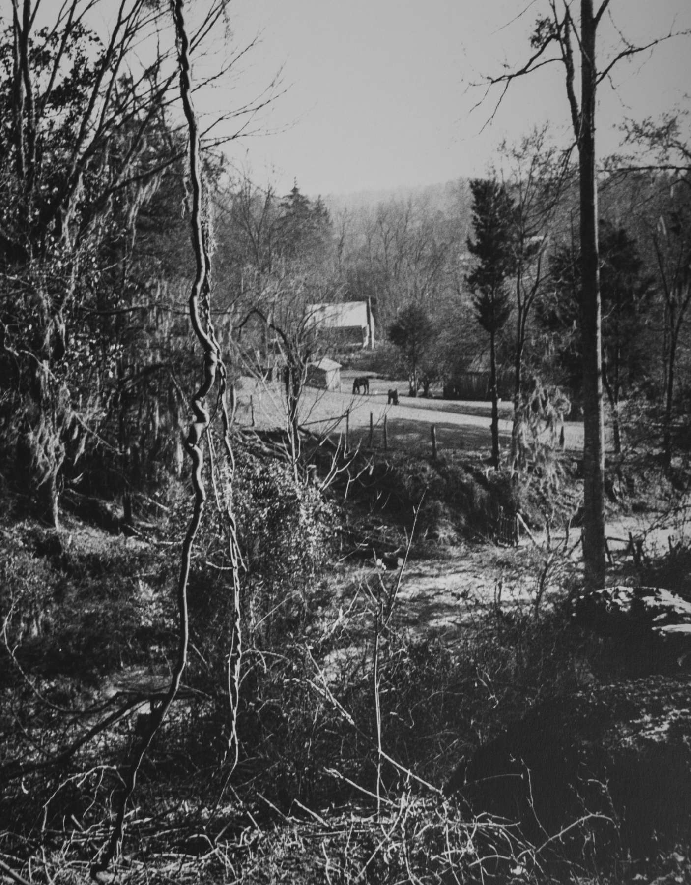 Eudora Welty Twenty Photographs Portfolio: Ghost River-Town, 1942