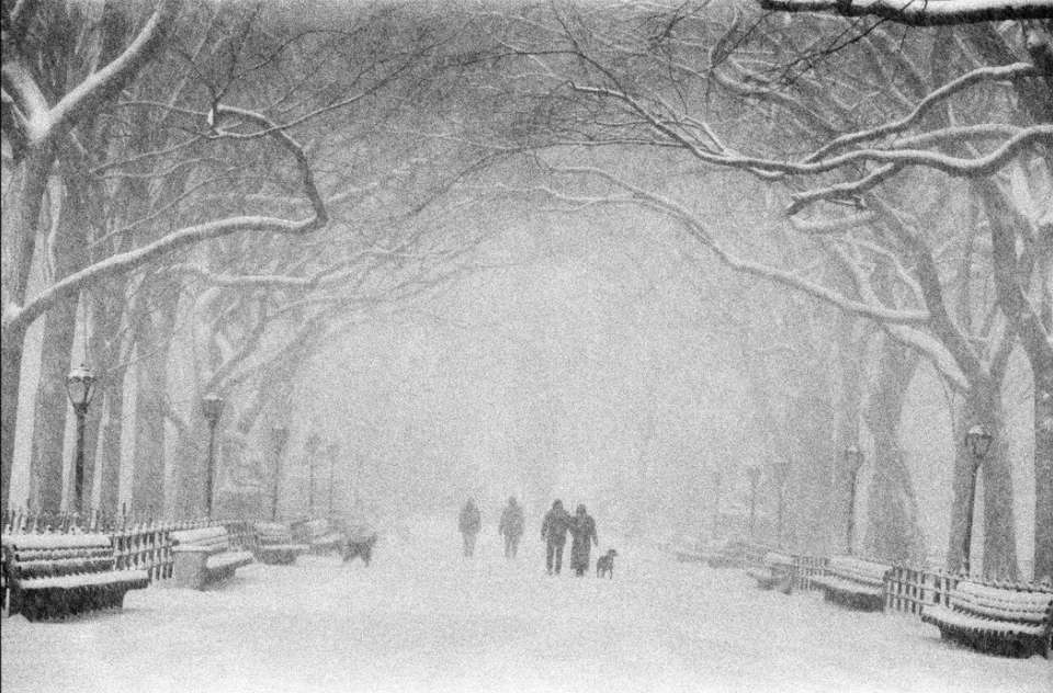 Central Park in winter, USA New York City