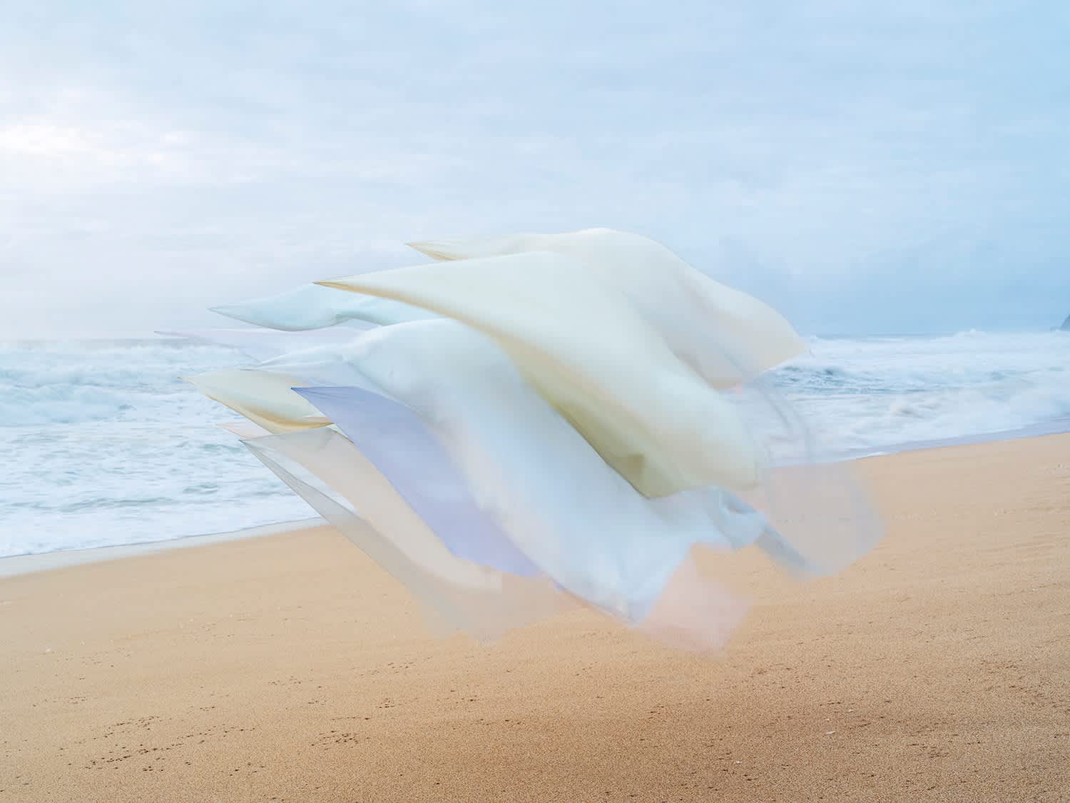 Silk no. 9, Montara, California