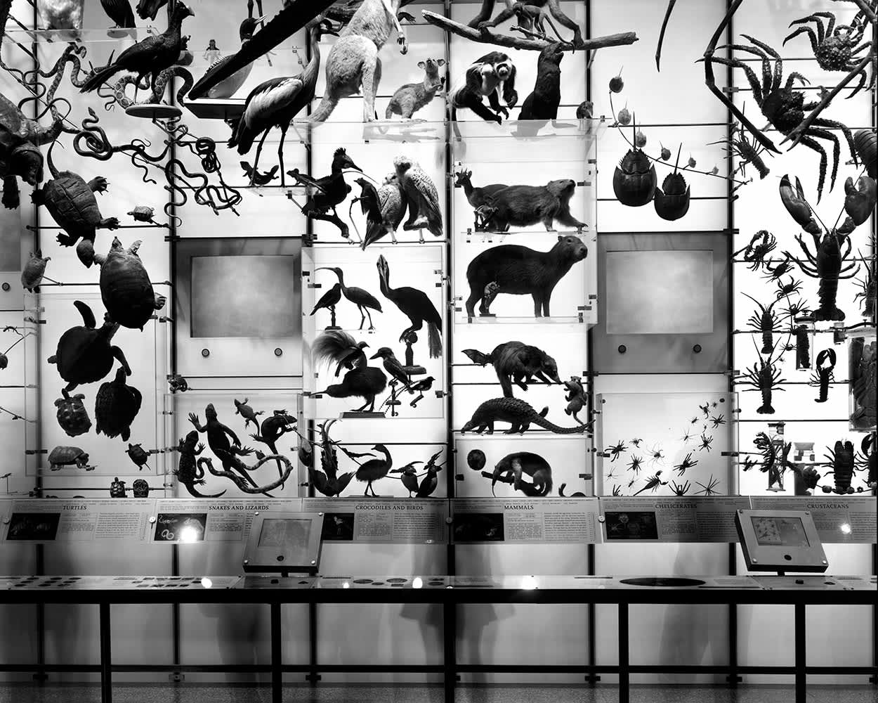 Muscle Beach, Los Angeles