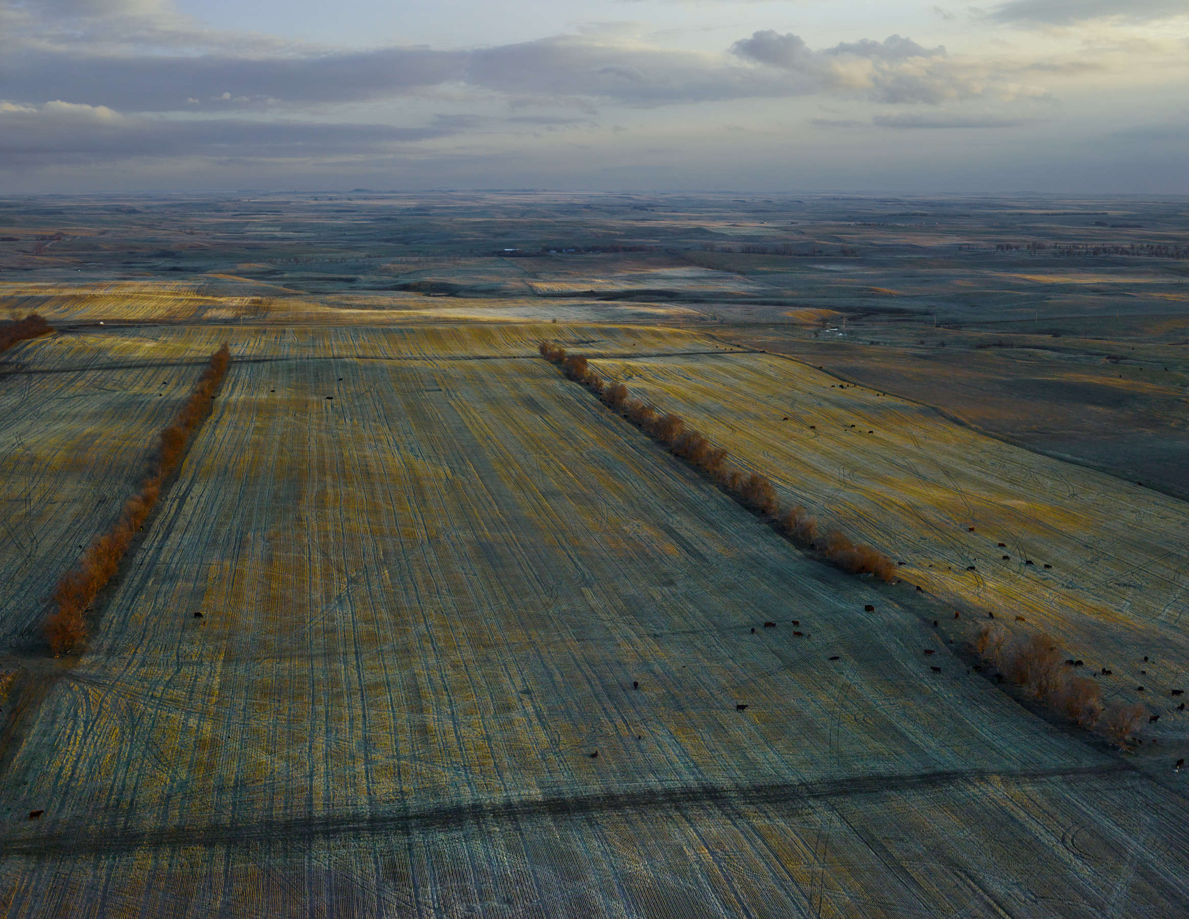 Andrew Moore, Dusky Fields, Mckenzie Country, North Dakota, 2013
