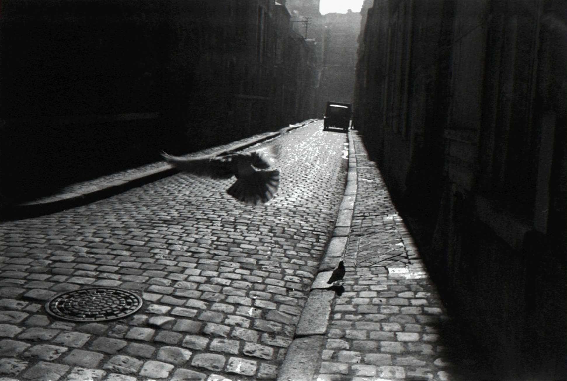 Elliott Erwitt, Orleans, France, 1952