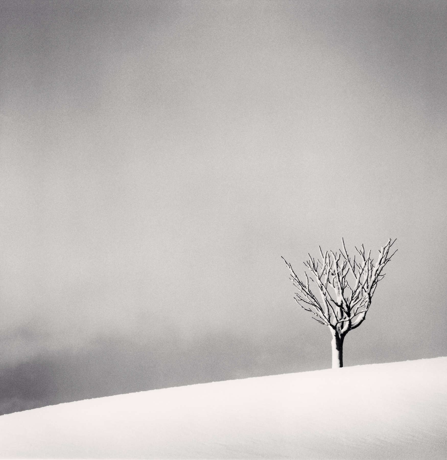 Michael Kenna, Snowfall, Numakawa, Hokkaido, Japan, 2004 - Artwork