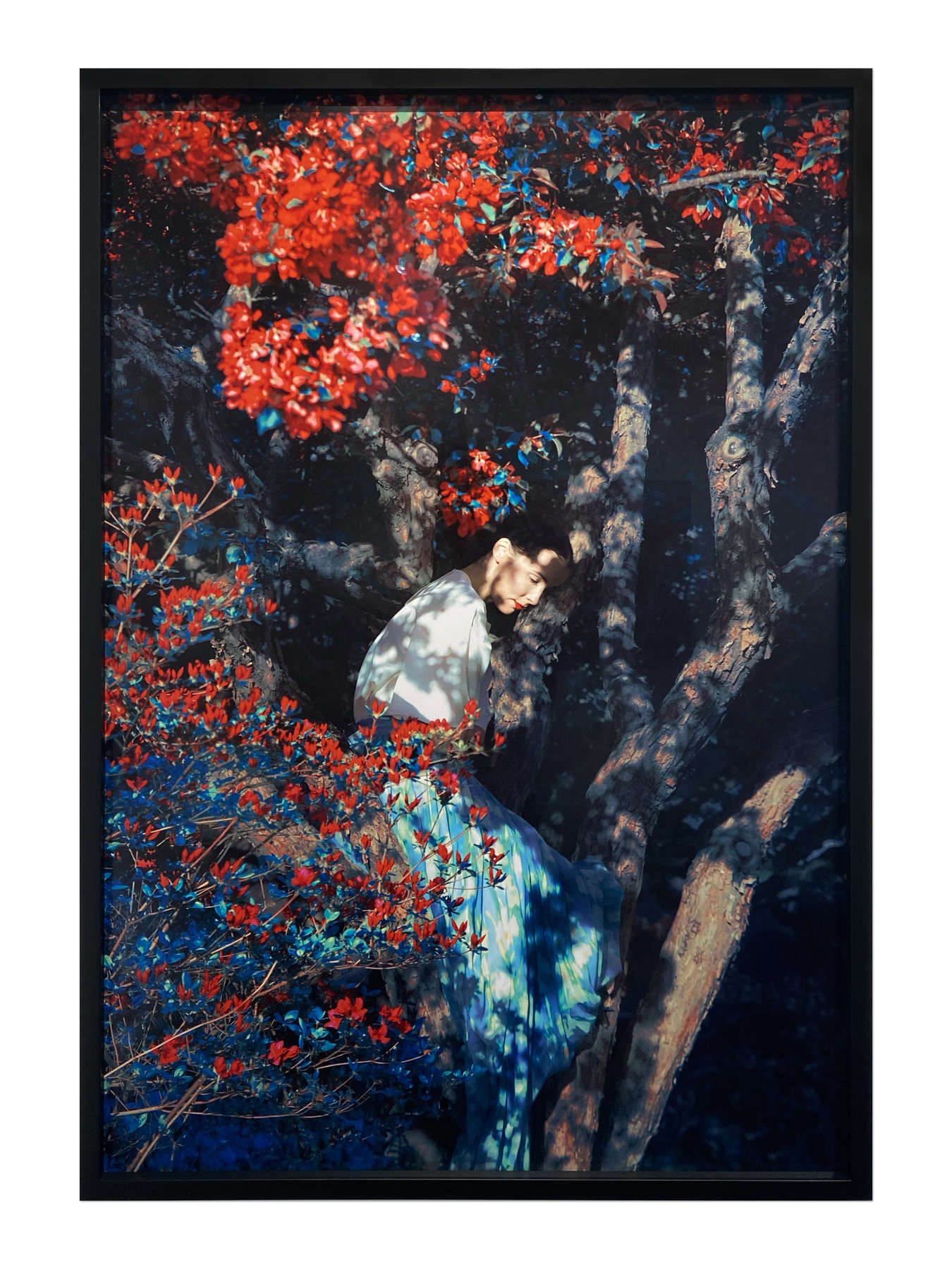 Erik Madigan Heck, Brianna sitting in Apple Orchard, The ...