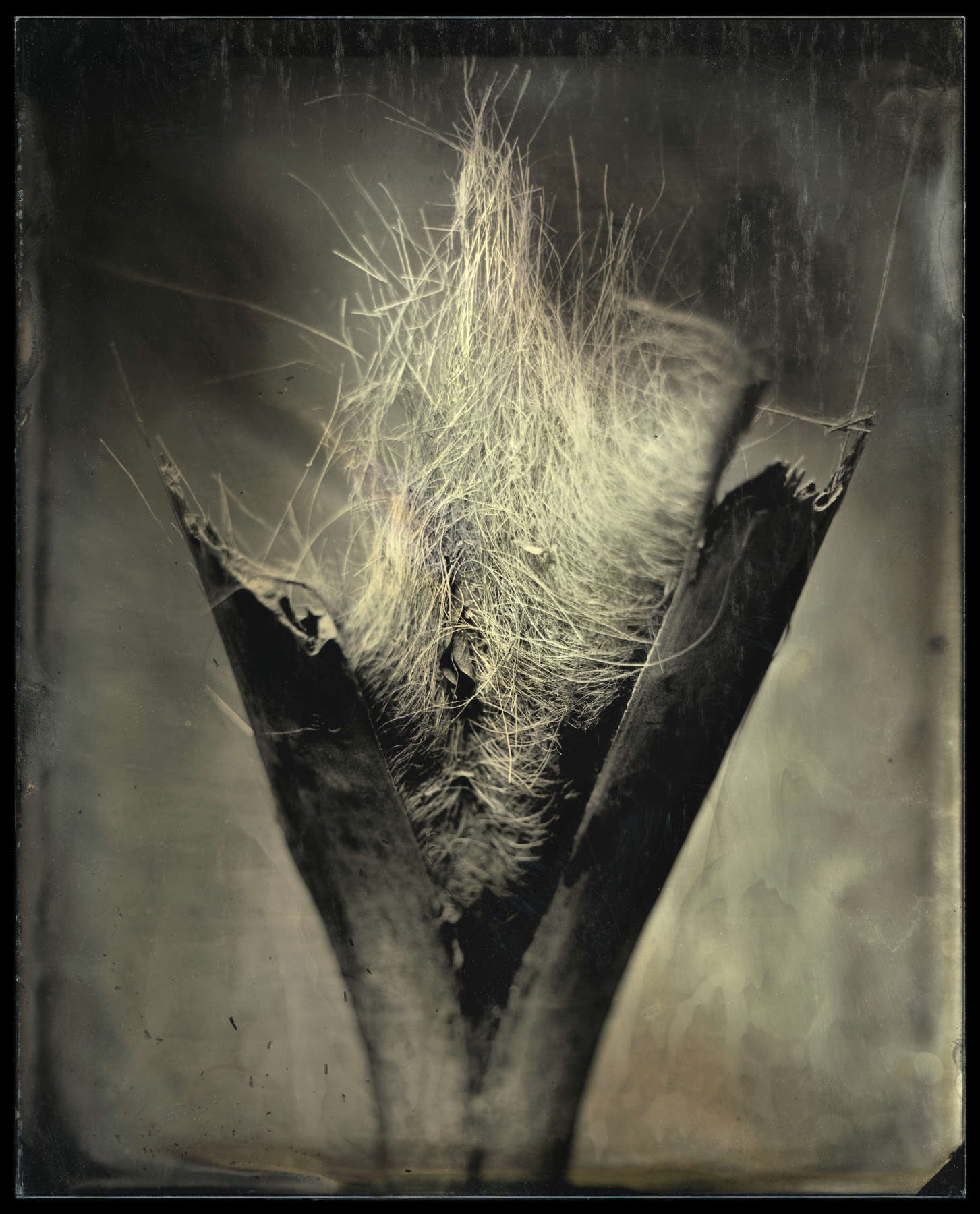 Found Object, Study 19