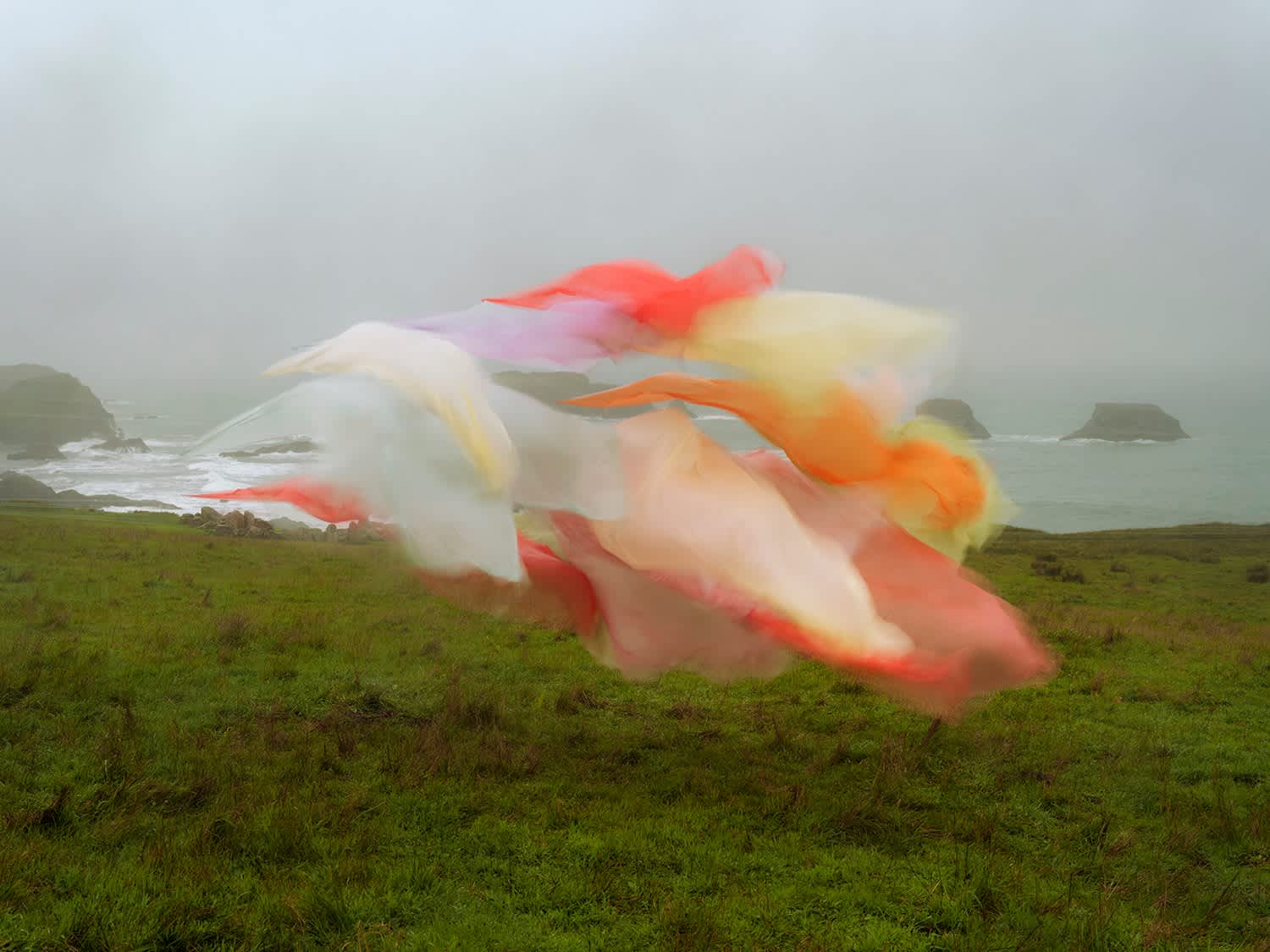 Silk no. 8, Fort Bragg, California