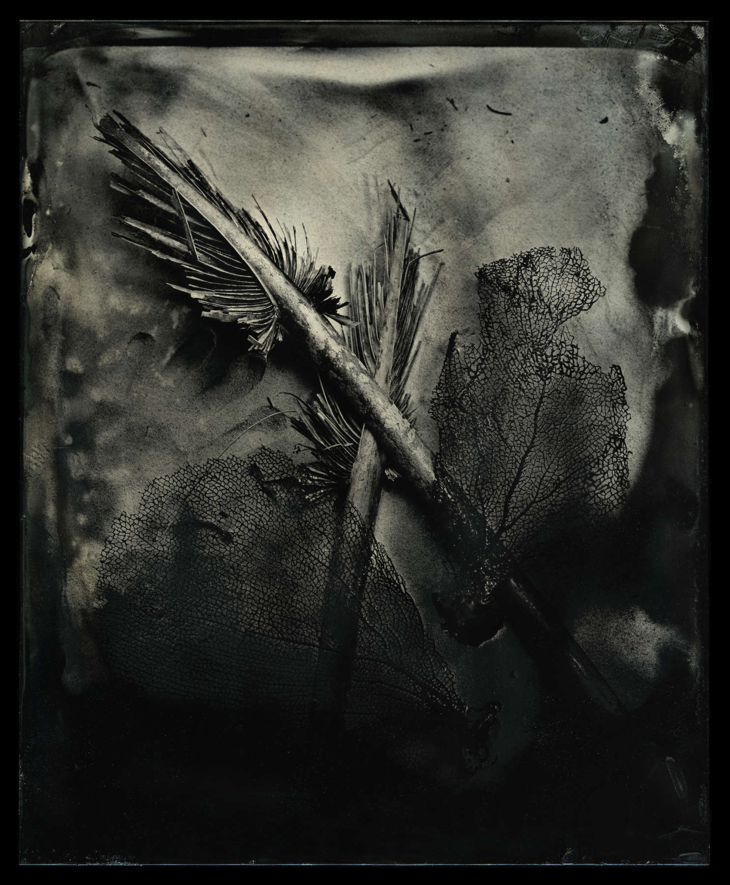 Found Object, Study 4