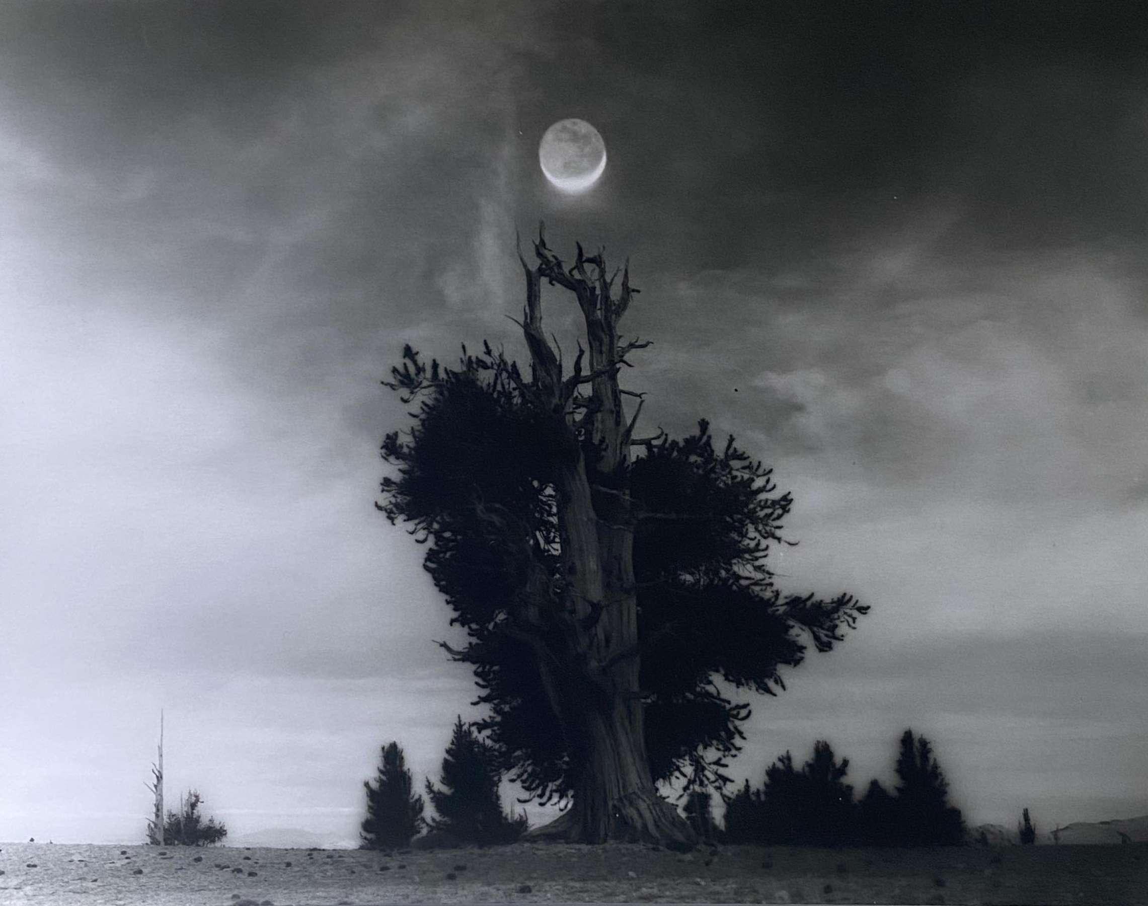 Sentinel