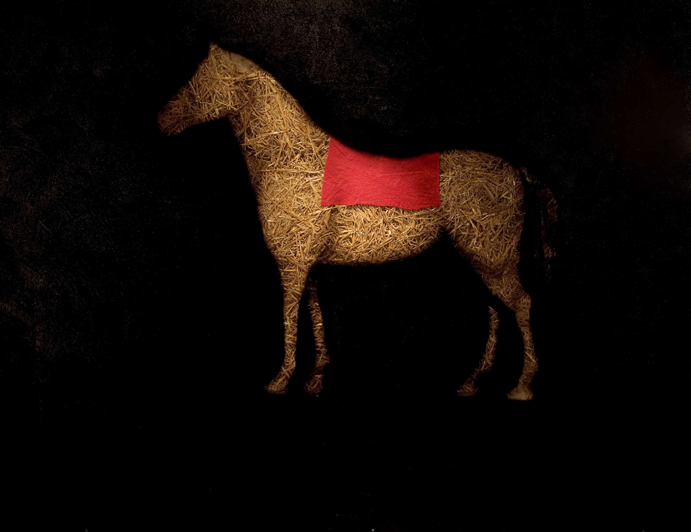 Untitled Horse