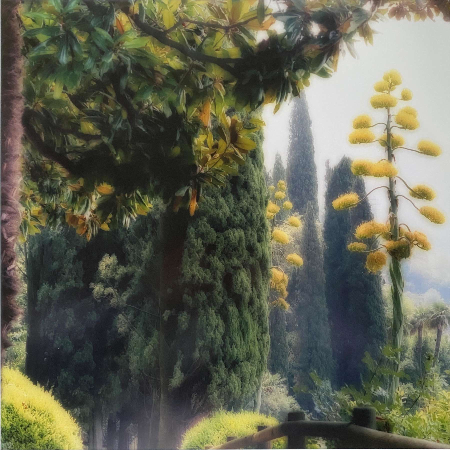 Villa Monastero, Lake Como, Italy (7-05-20c-10)
