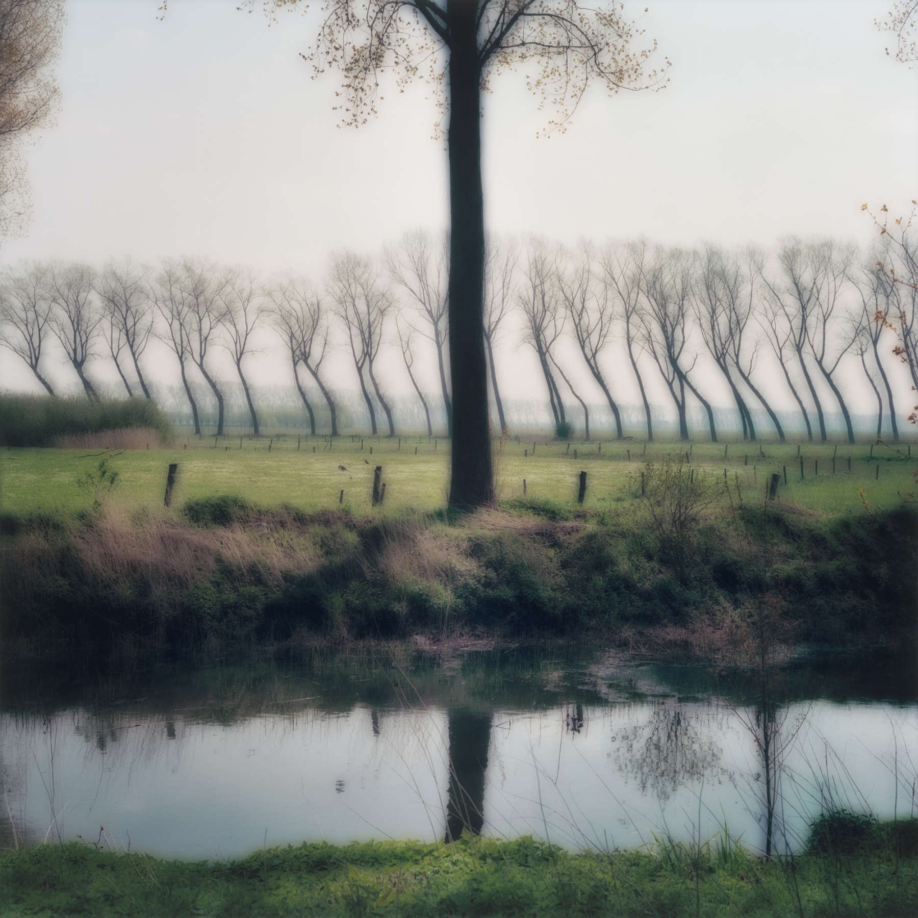 Damme, Belgium, (4-04-41c-4)