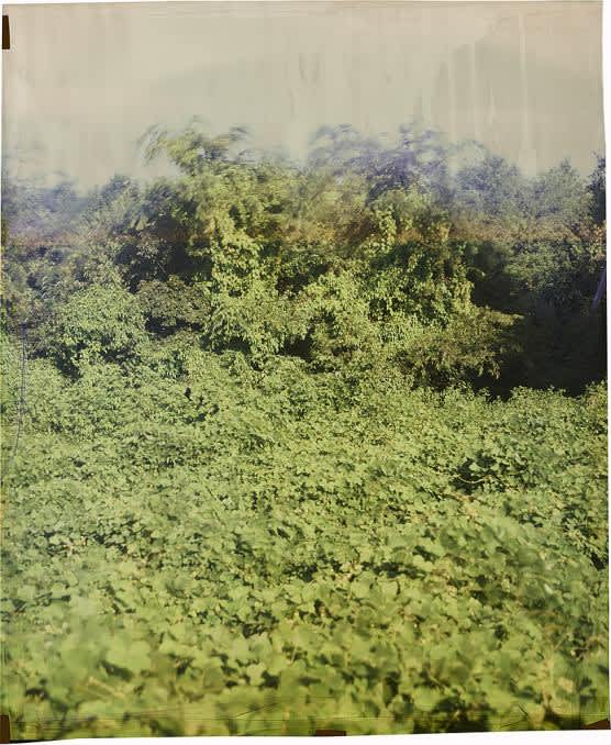 John Chiara, Highway I at Friar